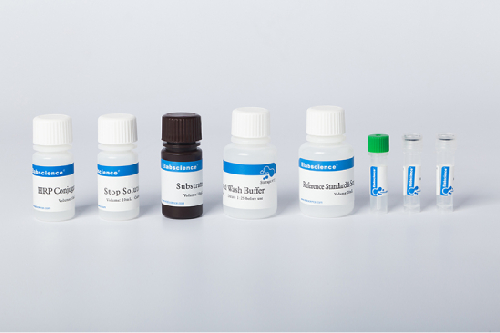 IHC Antibodies Suppliers
