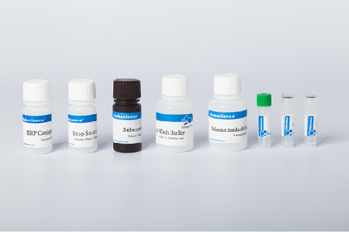 IHC Antibodies In Assam         